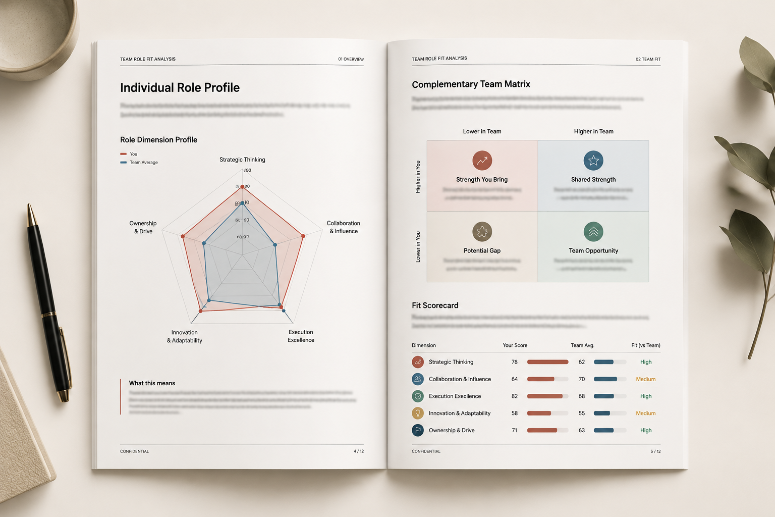 Roleworks PDF report preview
